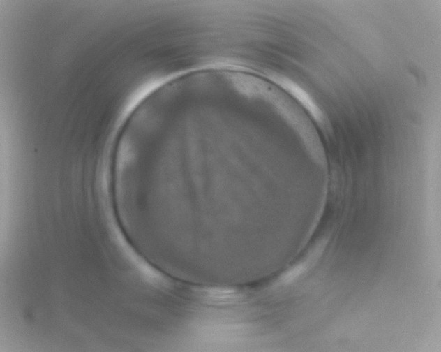 X0000115411007200911241324