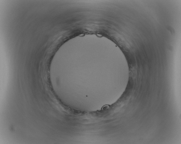 X0000115411009200911241323