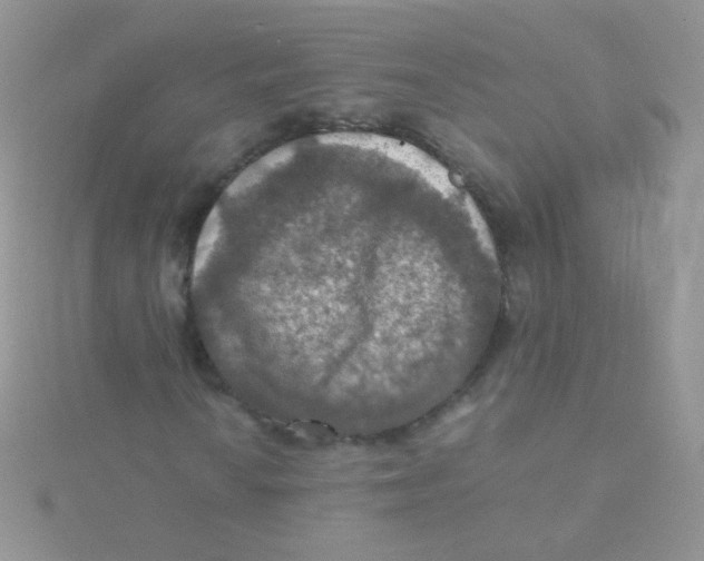 X0000115411010200911241323