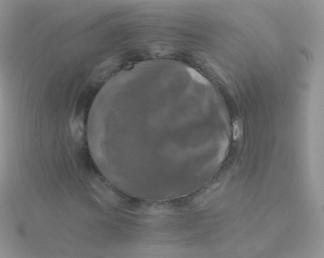 X0000115411011200911241323