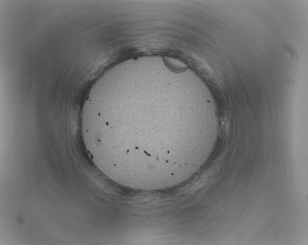 X0000115411012200911241323