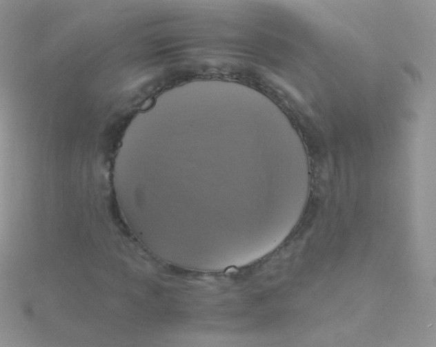 X0000115411013200911241323