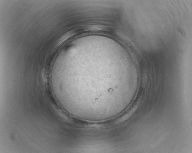 X0000115411017200911241323