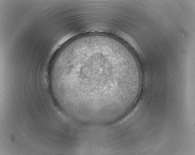 X0000115411018200911241323