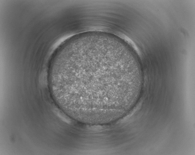 X0000115411019200911241323