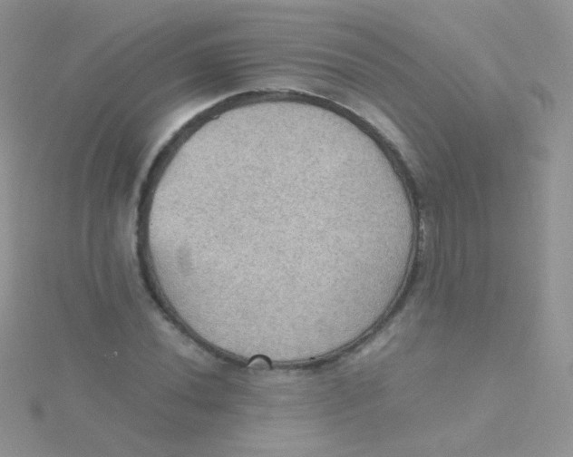 X0000115411020200911241323