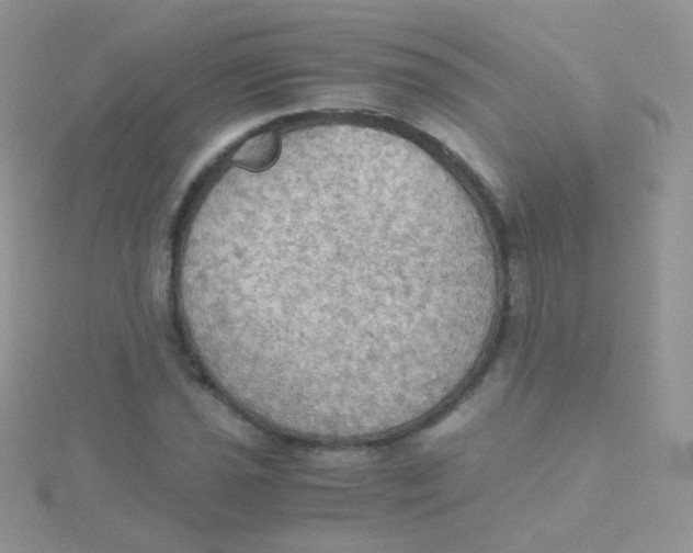 X0000115411021200911241323