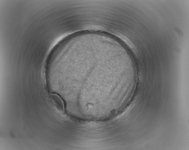 X0000115411022200911241323