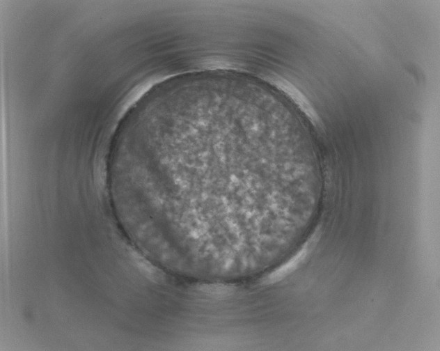 X0000115411023200911241323