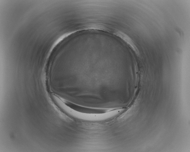 X0000115411024200911241323