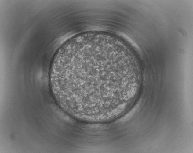 X0000115411025200911241323