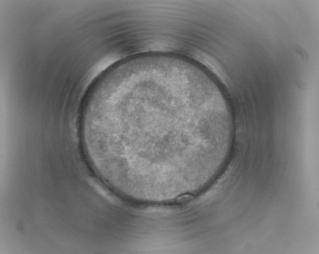 X0000115411026200911241323