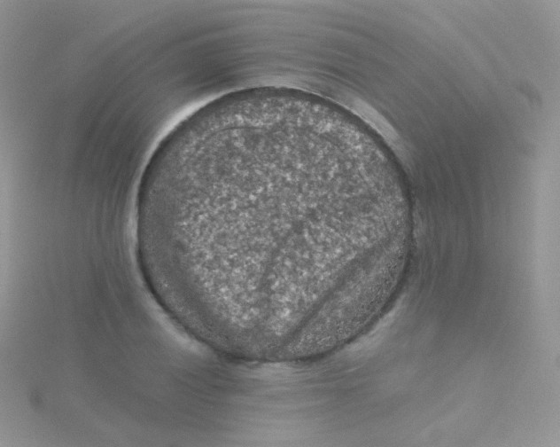 X0000115411028200911241323