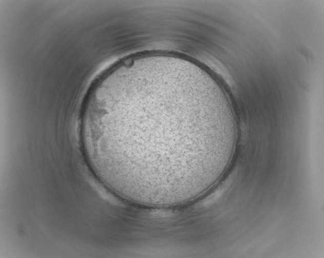 X0000115411029200911241323