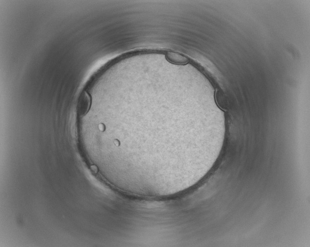 X0000115411030200911241323