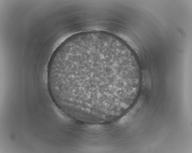 X0000115411031200911241323