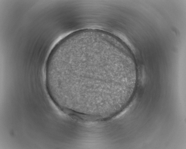 X0000115411032200911241323