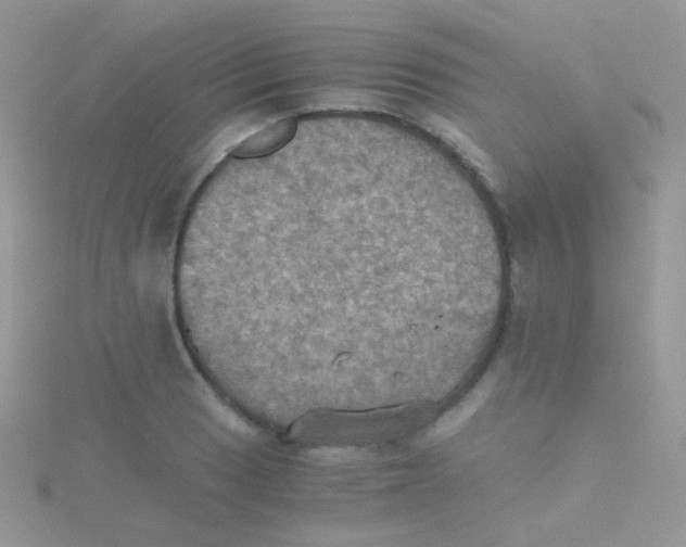 X0000115411033200911241323