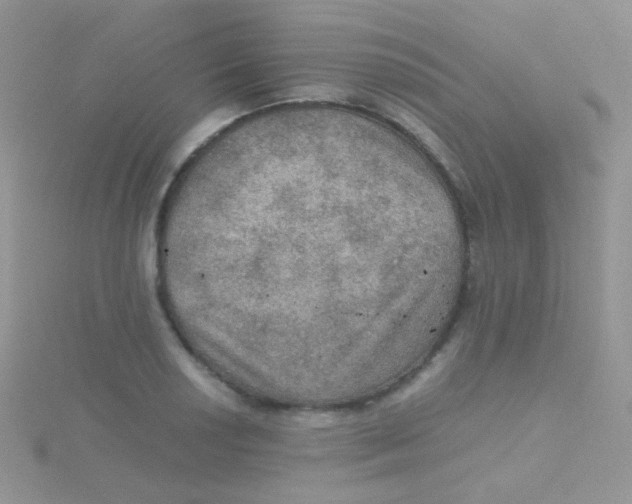 X0000115411034200911241323