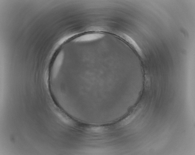 X0000115411035200911241323