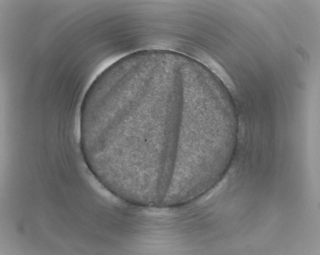 X0000115411036200911241323