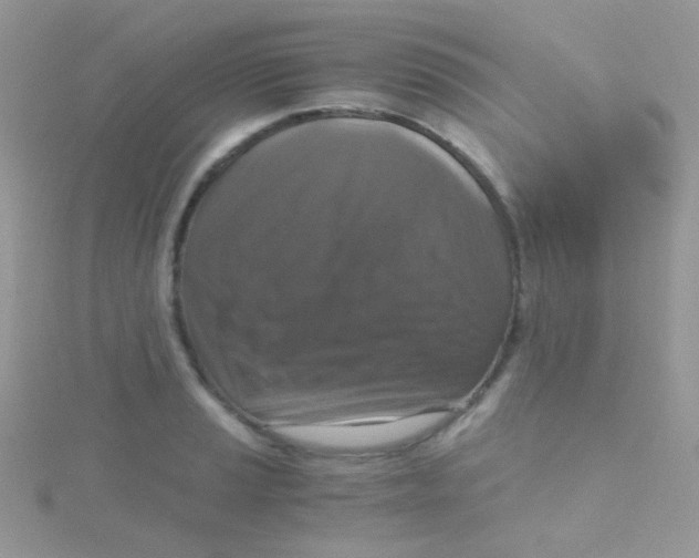 X0000115411037200911241323