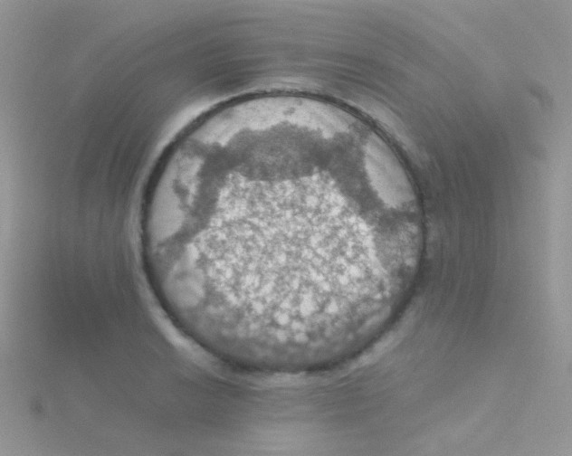 X0000115411038200911241323