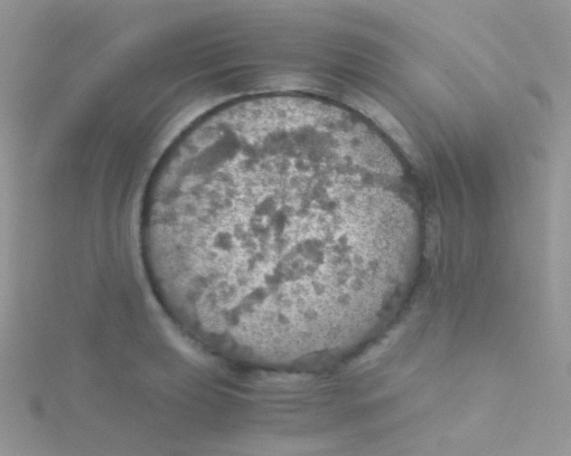 X0000115411039200911241323