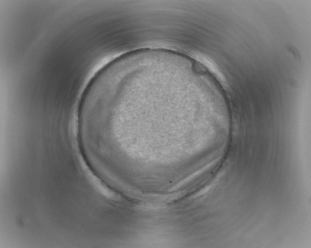 X0000115411040200911241323