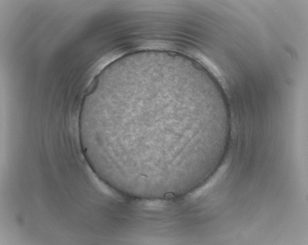 X0000115411041200911241323