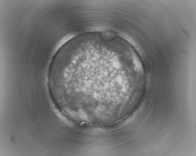 X0000115411042200911241323