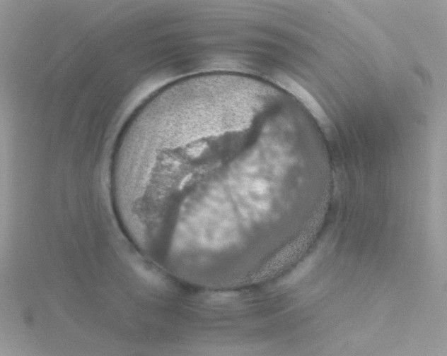 X0000115411043200911241323