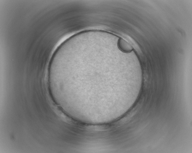 X0000115411044200911241323