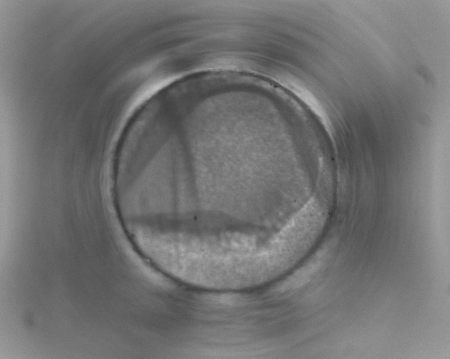 X0000115411045200911241323