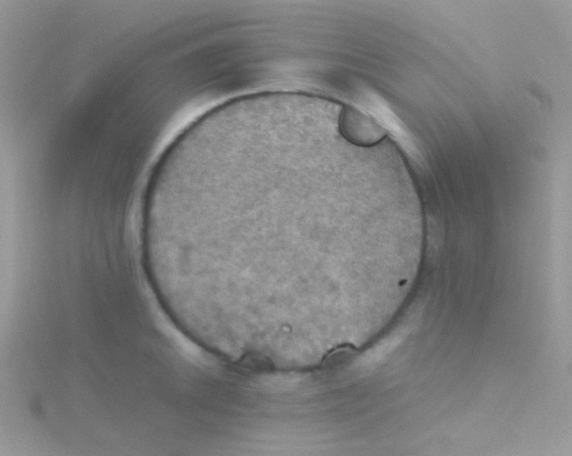 X0000115411046200911241323