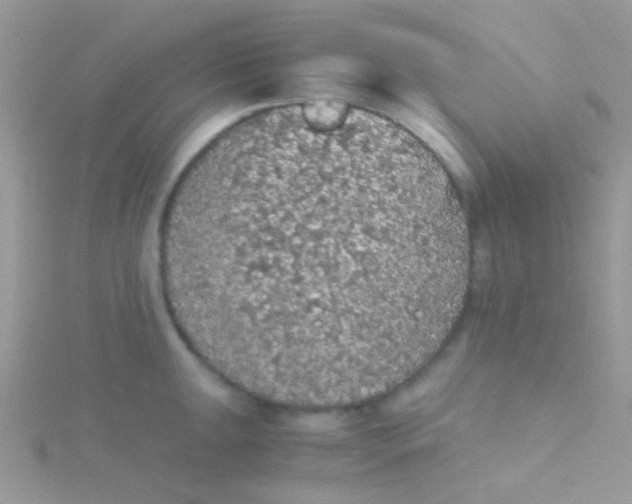 X0000115411047200911241324