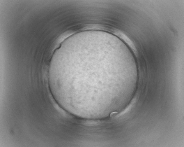 X0000115411049200911241324