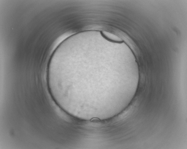 X0000115411050200911241324