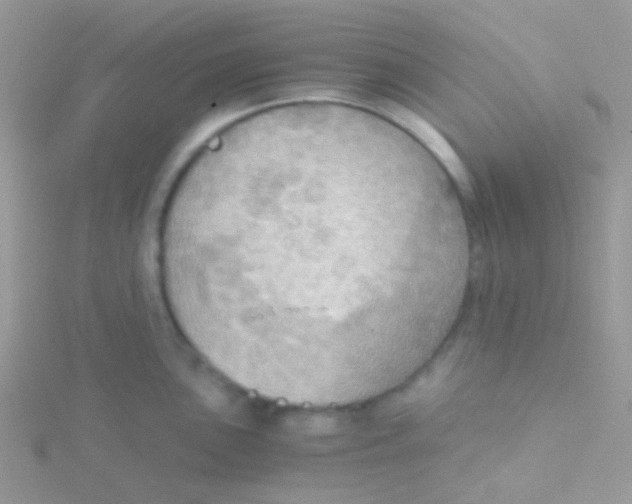 X0000115411051200911241324