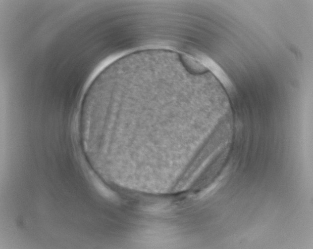 X0000115411052200911241324