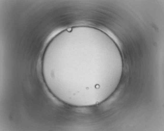 X0000115411053200911241324