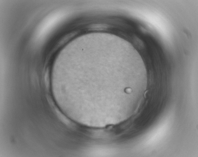 X0000115411054200911241324