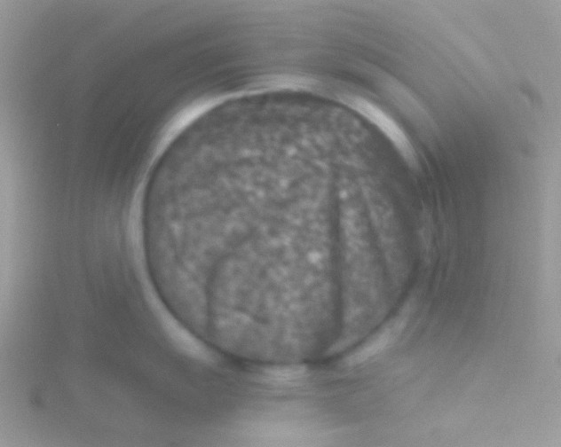 X0000115411055200911241324