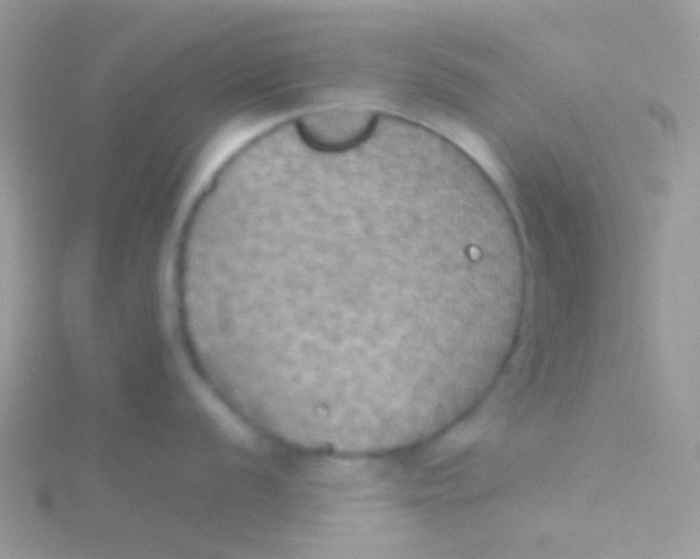 X0000115411056200911241324