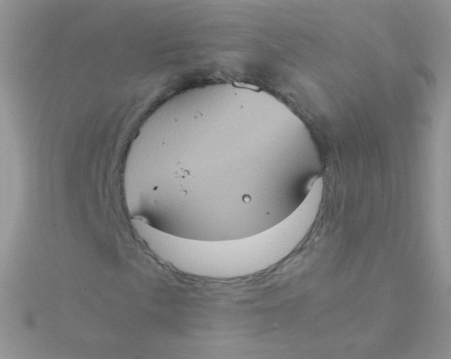 X0000115411057200911241323