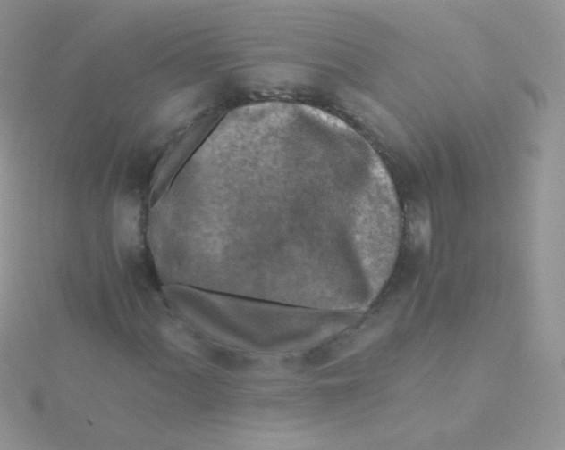 X0000115411060200911241323