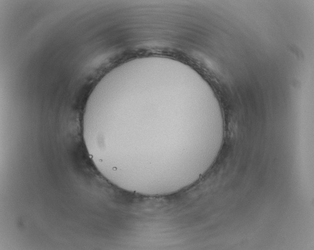 X0000115411062200911241323