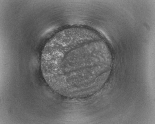 X0000115411063200911241323