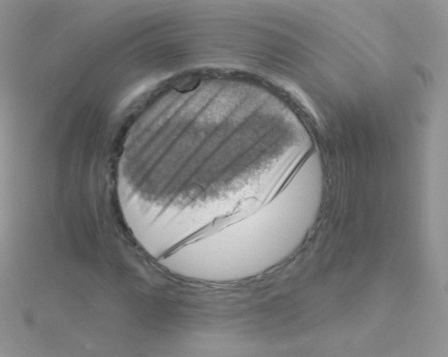 X0000115411064200911241323