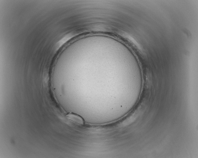 X0000115411065200911241323